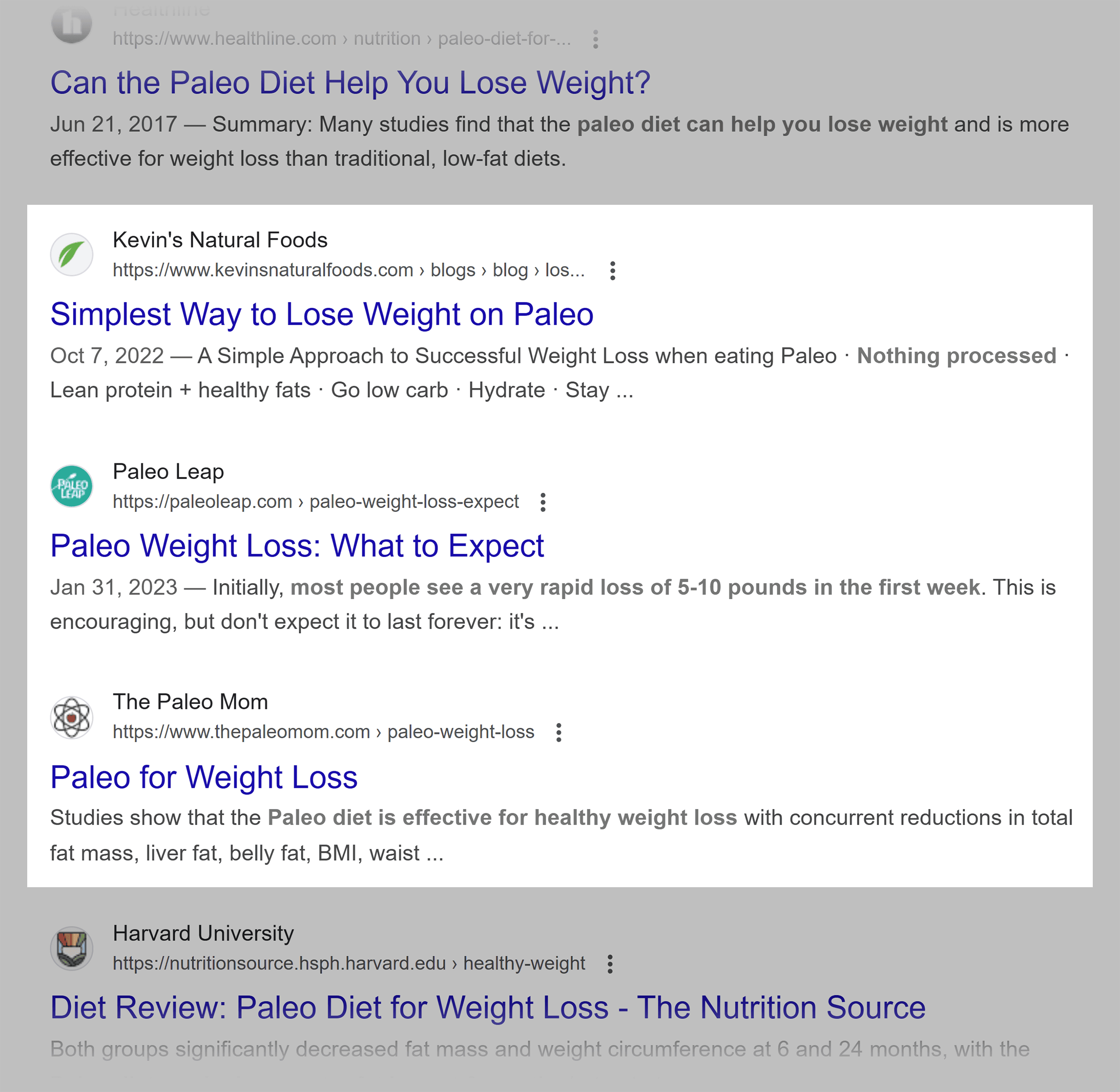 Google SERP &ndash; Losing weight on paleo blogs